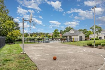 Basketball court